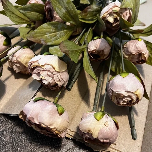 8 Tan Peonies- Ashland Stem